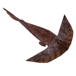 Parameteoraspis Meme Template