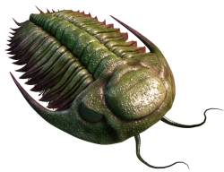 Green and Red Trilobite Meme Template