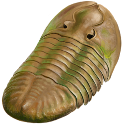 Brown and Green Trilobite Meme Template