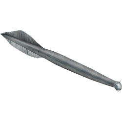 Pikaia Meme Template