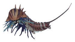 Habelia Meme Template