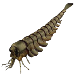 Yohoia Meme Template