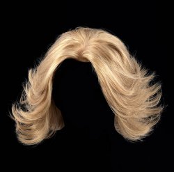 wig Meme Template