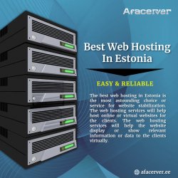 Best Web Hosting In Estonia Meme Template