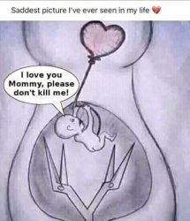 Incredibly bad faith Abortion cartoon Meme Template