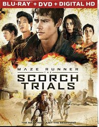 Maze Runner The Scorch Trials Movie Meme Template