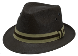 Fedora Meme Template