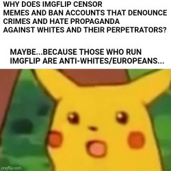 IMGFLIP IS ANTI-WHITES Meme Template