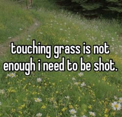 touching grass is not enough Meme Template