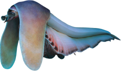 Balhuticaris Meme Template