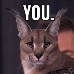 Soulja Cat Meme Template