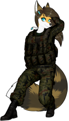 Furry Soldier Meme Template