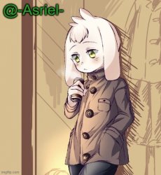 Asriel's temp Meme Template