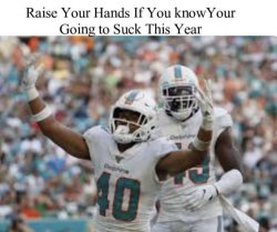 Miami Dolphins Meme Template