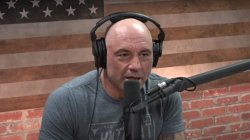 Joe Rogan Meme Template