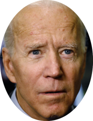 Biden's Face Meme Template