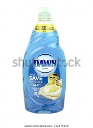 Dawn dish soap Meme Template