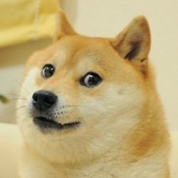 Doge meme Meme Template