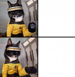 Hotline Bling [Cat Edition] Meme Template