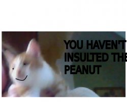 YOU HAVEN'T INSULTED THE PEANUT Meme Template