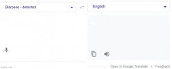 Google Translate Meme Template