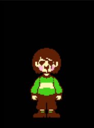 -Chara_TGM- template Meme Template