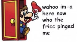 Mario who pinged me Meme Template