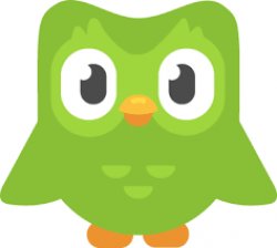 Duolingo OWL Meme Template