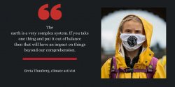 Greta Thunberg quote Meme Template