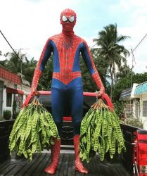 Spiderman harves Meme Template