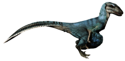 Blue feathered Velociraptor Meme Template