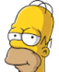 homer Meme Template