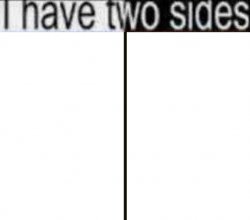 i have two sides blank Meme Template