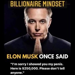 Elon Musk billionaire mindset Meme Template