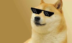 Sunglasses Doge Meme Template