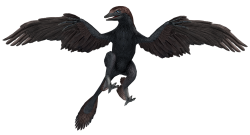 Microraptor (JWA Design) Meme Template