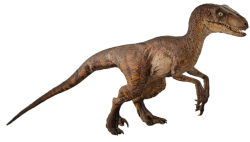 Velociraptor 2 Meme Template