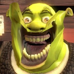 Happy Silly Shrek Meme Template
