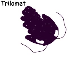 Trilomet Meme Template