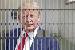 Trump behind bars Meme Template