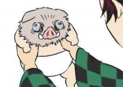 Le skrukl Meme Template