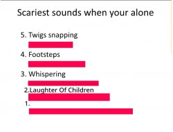 Scariest sounds when your alone Meme Template