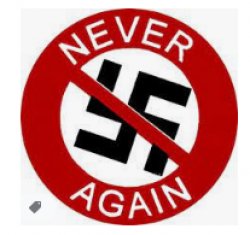 never again nazi Meme Template