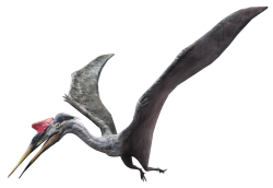 Quetzalcoatlus (JWA Design) Meme Template