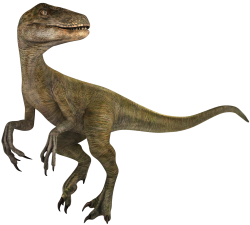 Velociraptor 3 Meme Template