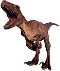 Velociraptor 4 Meme Template