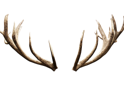 Antlers Meme Template
