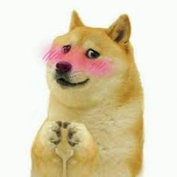 Flirty doge Meme Template