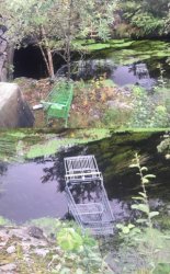 Shooping cart of wisdom Meme Template