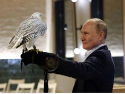 Putin and Eagle Meme Template